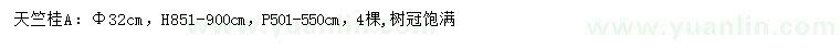 求購胸徑32公分天竺桂