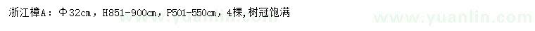 求購胸徑32公分浙江樟
