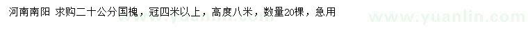 求購20公分國槐