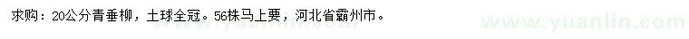 求購20公分青垂柳