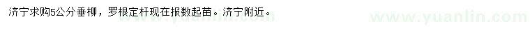 求購(gòu)5公分垂柳