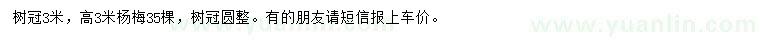 求購(gòu)高3米楊梅