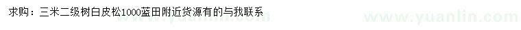 求購3米白皮松