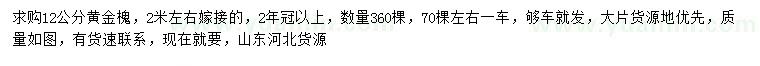求購12公分黃金槐