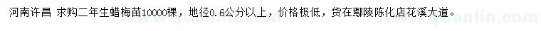求購地徑0.6公分以上二年生蠟梅苗