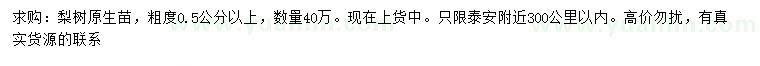 求購0.5公分以上梨樹