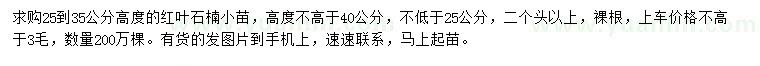 求購高度25-35公分紅葉石楠小苗