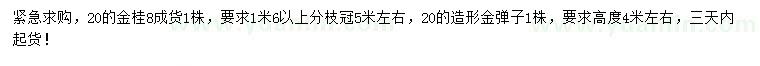 求購20公分金桂、造形金彈子