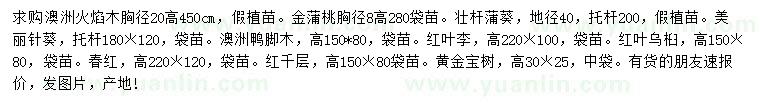 求購澳洲火焰木、金蒲桃、壯桿蒲葵等