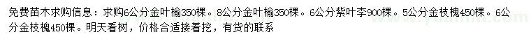 求購金葉榆、紫葉李、金枝槐