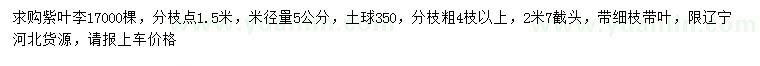 求購(gòu)米徑量5公分紫葉李