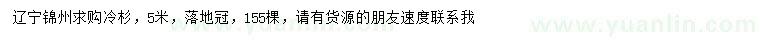 求購5米冷杉