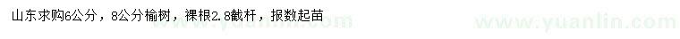 求購6、8公分榆樹