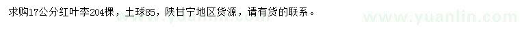 求購17公分紅葉李