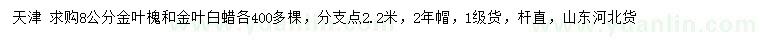 求購8公分金葉槐、金葉白蠟