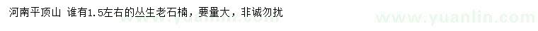 求購1.5米左右叢生老石楠