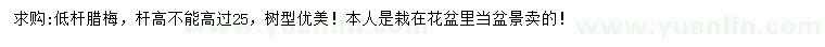 求購(gòu)高25公分以下低桿臘梅