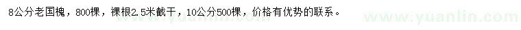 求購8公分老國槐