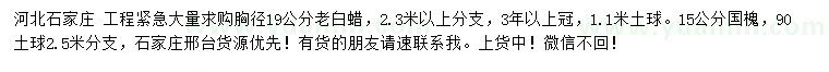 求購胸徑19公分老白蠟、15公分國槐