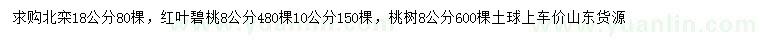 求購北欒、紅葉碧桃、桃樹