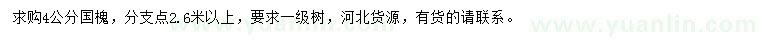 求購4公分國槐