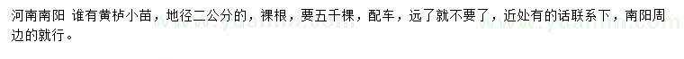 求購地徑2公分黃櫨小苗