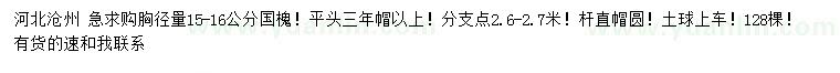 求購(gòu)胸徑量15-16公分國(guó)槐