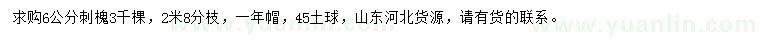求購6公分刺槐