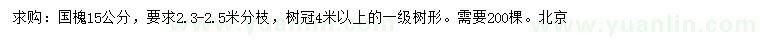 求購15公分國槐
