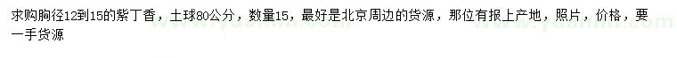 求購(gòu)胸徑12-15紫丁香