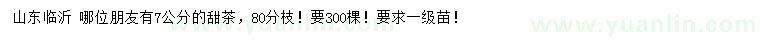 求購7公分甜茶
