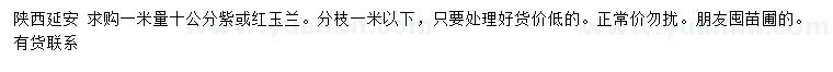 求購1米量10公分紫、紅玉蘭