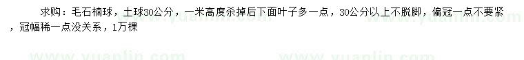 求購(gòu)毛石楠球
