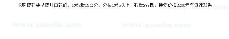 求購1.2米量18公分櫻花