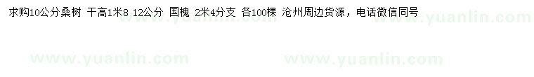 求購(gòu)10公分桑樹(shù)、12公分國(guó)槐
