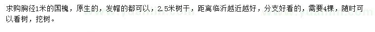 求購胸徑1米國槐