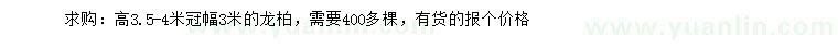 求購高3.5-4米龍柏