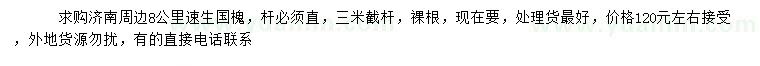 求購速生國槐