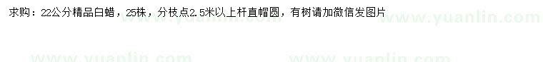 求購22公分精品白蠟