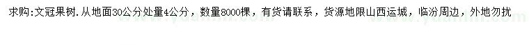 求購30公分量4公分文冠果樹