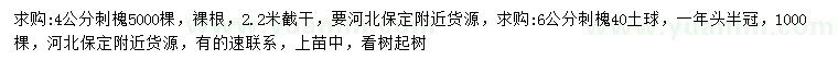 求購4、6公分刺槐