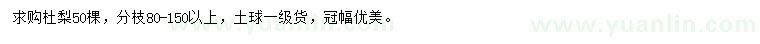 求購分枝80-150公分以上杜梨