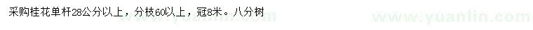 求購單桿28公分以上桂花