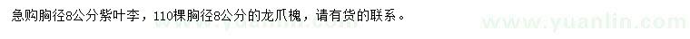 求購(gòu)胸徑8公分紫葉李、龍爪槐