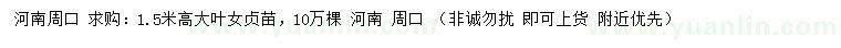 求購高1.5米大葉女貞苗