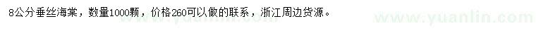 求購8公分垂絲海棠