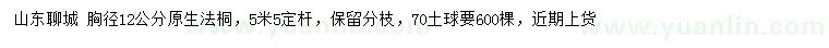 求購胸徑12公分原生法桐