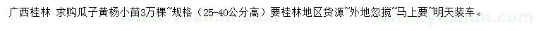 求購高25-40公分瓜子黃楊小苗