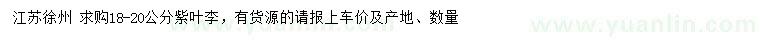 求購18-20公分紫葉李