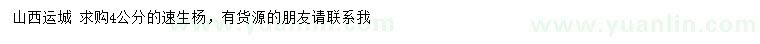 求購4公分速生楊